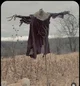 BL - Scarecrow