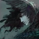 Rowan the Raven