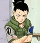 SHIKAMARU NARA