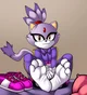 Blaze the Cat Feet