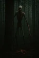 Horror-The Forest