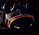 Captured Toothless