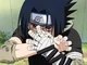 The Chunin Exams