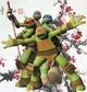 TMNT X MD