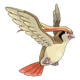 Pidgeot
