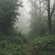 Zombie apocalypse 