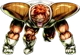 Recoome