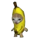Banana Cat