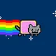 Your cat nyan