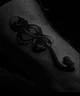 Regulus