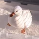Pet Call Duck