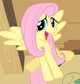 Fluttershy