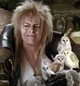 Jareth 
