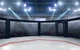 Cage Fight Arena