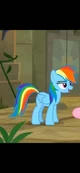 Rainbow Dash 