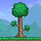 Terraria RPG