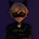 Cat noir