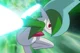 Gallade - PKM