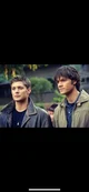 Winchesters
