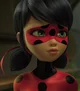 Ladybug