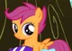 Scootaloo 