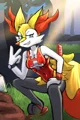 Braixen Lifeguard