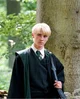 Draco M