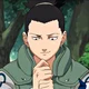Shikamaru Nara