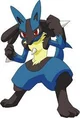 Sparring Lucario
