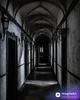 Gothic Grove Asylum