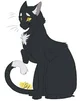 RavenPaw
