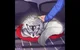 Megatron-TFP 