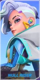 Null Rider
