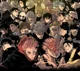 Jujutsu Kaisen GC