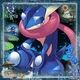 Greninja - PKMN