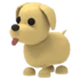 Dog adopt me