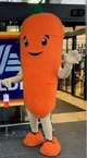 Kevin the carrot