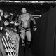 Randy Orton 