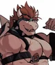 Bowser