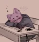 Catnap - Classmate