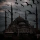 The Sultan