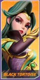 Black Tortoise 