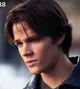 3 - Dean Forester