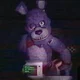 Bonnie voice box rep