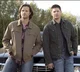 Sam and Dean - SPN