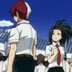 Shoto Todoroki 