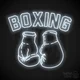 Yankee Boxing Ring