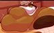 Cocoa cookie