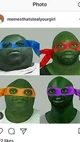 Tmnt brothers