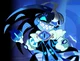 Shadow Milk Cookie